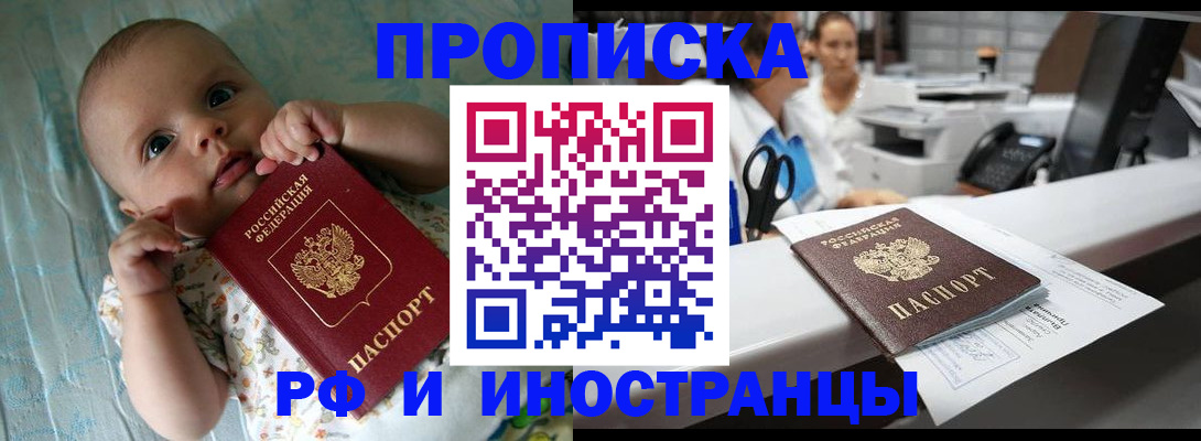 прописка поиск в Новозыбкове